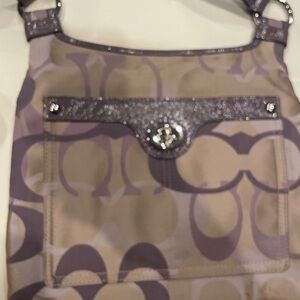 Stylish Purple and Tan Women's Bag